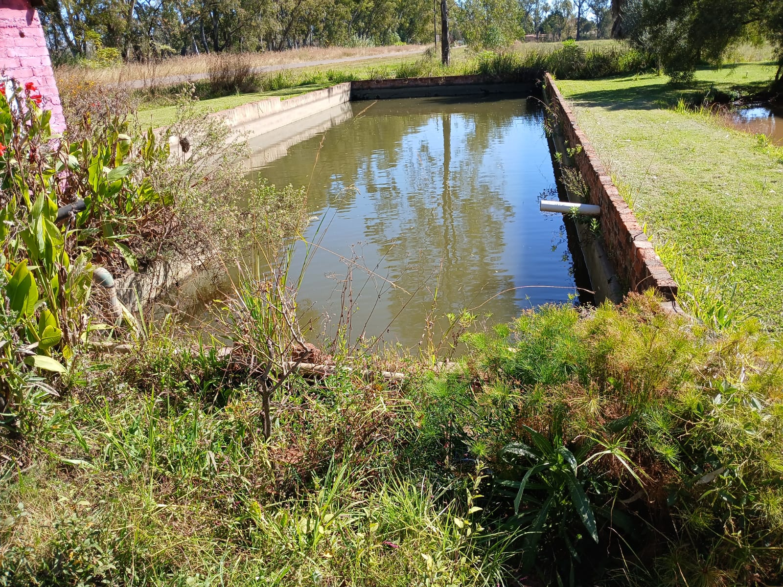 10ha Irrigation Farm in Honingnestkrans with Proven Fertile Soil & Strong Water Rights – Ideal for Profitable Agriculture