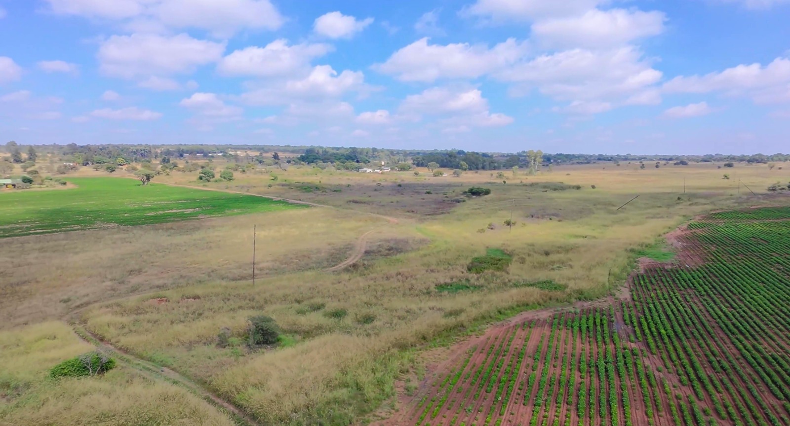 34ha under irrigation in Vastfontein