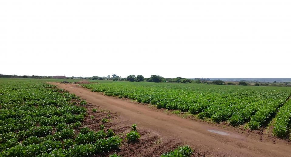 38.9Ha Irrigated Farm in Vastfontein - Main property